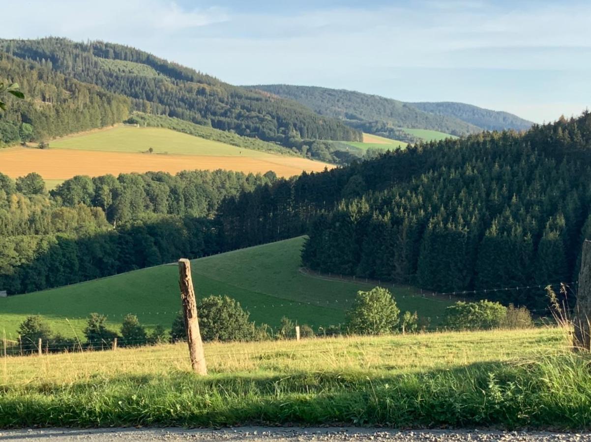 Kaeppler-Hof-Wieners Olsberg Exteriör bild